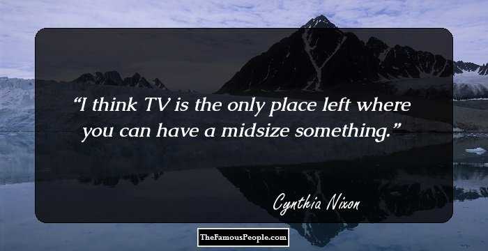 I think TV is the only place left where you can have a midsize something.