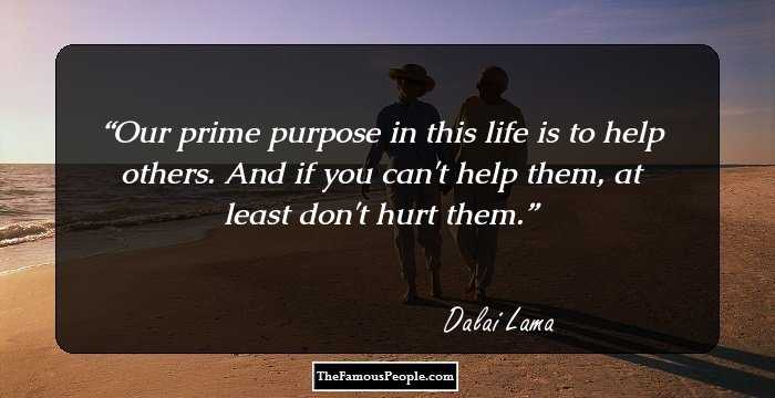 Our prime purpose in this life is to help others. And if you can't help them, at least don't hurt them.
