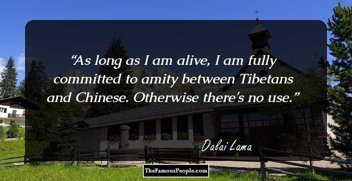As long as I am alive, I am fully committed to amity between Tibetans and Chinese. Otherwise there's no use.