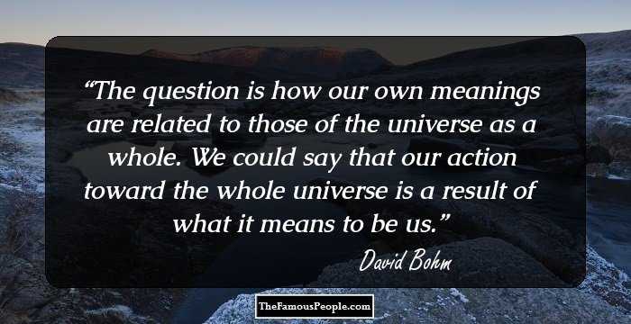 The question is how our own meanings are related to those of the universe as a whole. We could say that our action toward the whole universe is a result of what it means to be us.