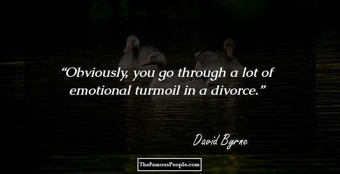 Obviously, you go through a lot of emotional turmoil in a divorce.