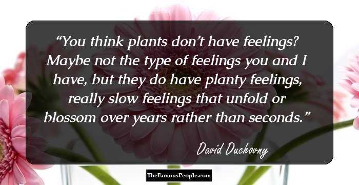 You think plants don’t have feelings? Maybe not the type of feelings you and I have, but they do have planty feelings, really slow feelings that unfold or blossom over years rather than seconds.