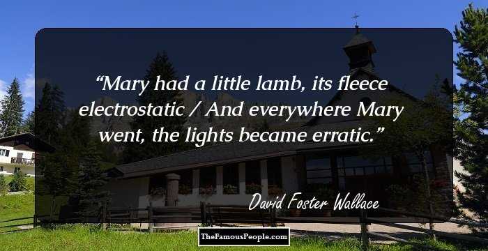 Mary had a little lamb, its fleece electrostatic / And everywhere Mary went, the lights became erratic.