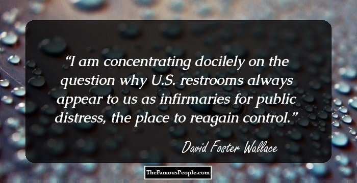 I am concentrating docilely on the question why U.S. restrooms always appear to us as infirmaries for public distress, the place to reagain control.