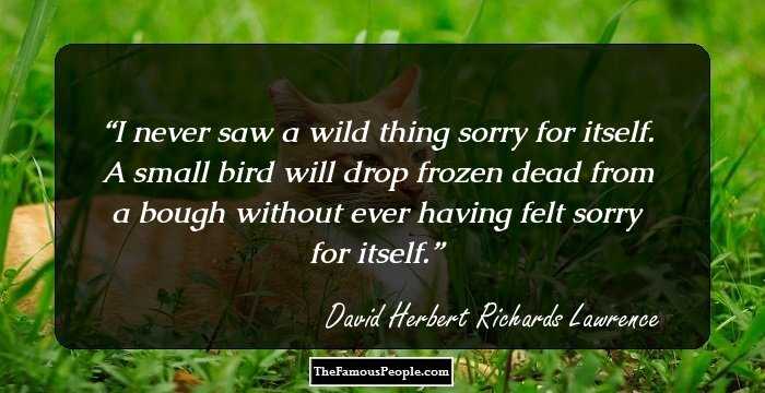 I never saw a wild thing sorry for itself. A small bird will drop frozen dead from a bough without ever having felt sorry for itself.