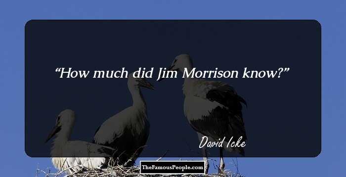 How much did Jim Morrison know?