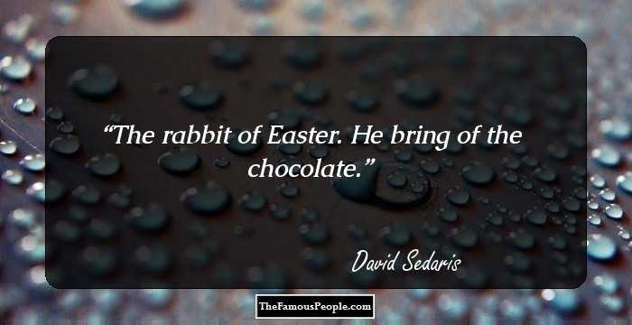 The rabbit of Easter. He bring of the chocolate.