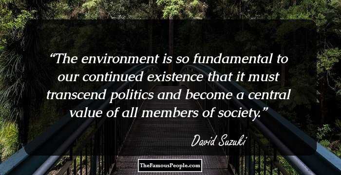 The environment is so fundamental to our continued existence that it must transcend politics and become a central value of all members of society.