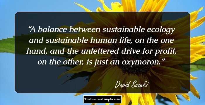 A balance between sustainable ecology and sustainable human life, on the one hand, and the unfettered drive for profit, on the other, is just an oxymoron.