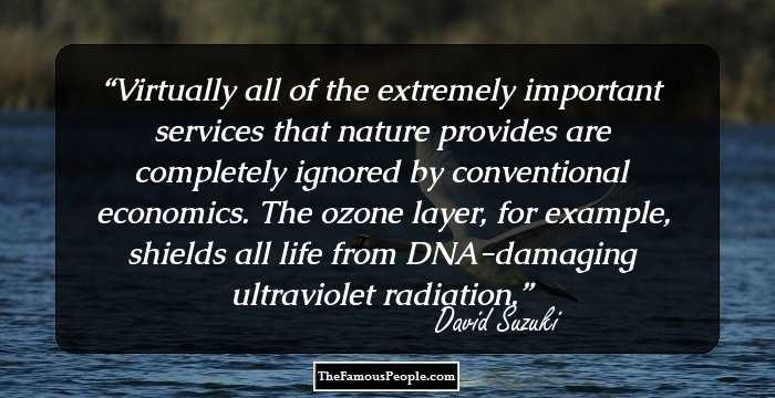 Virtually all of the extremely important services that nature provides are completely ignored by conventional economics. The ozone layer, for example, shields all life from DNA-damaging ultraviolet radiation.