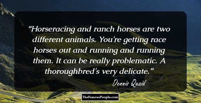 Horseracing and ranch horses are two different animals. You're getting race horses out and running and running them. It can be really problematic. A thoroughbred's very delicate.