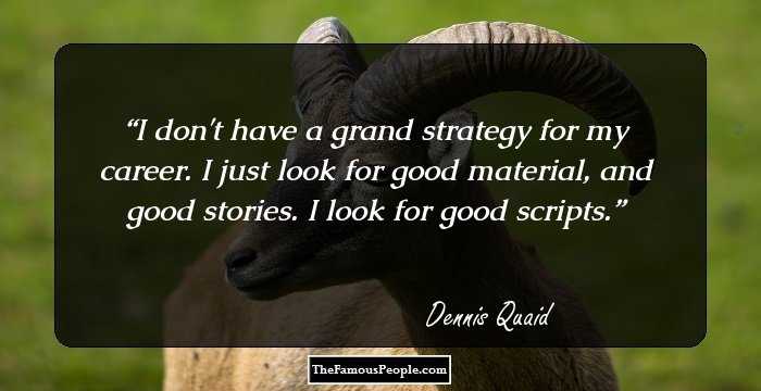 I don't have a grand strategy for my career. I just look for good material, and good stories. I look for good scripts.