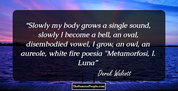 Slowly my body grows a single sound, slowly I become a bell, an oval, disembodied vowel, I grow, an owl, an aureole, white fire

poesia 