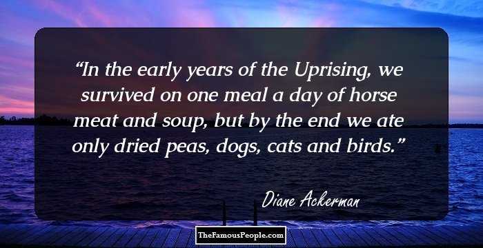 In the early years of the Uprising, we survived on one meal a day of horse meat and soup, but by the end we ate only dried peas, dogs, cats and birds.