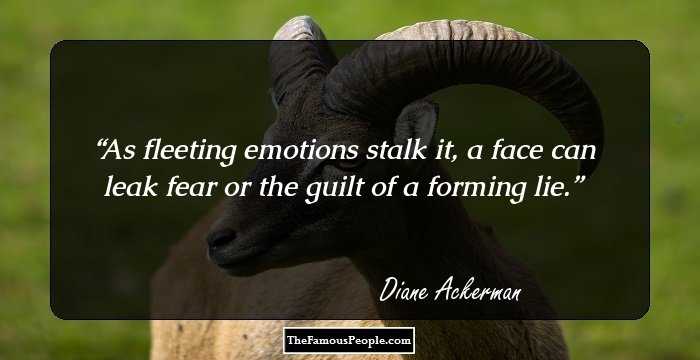 As fleeting emotions stalk it, a face can leak fear or the guilt of a forming lie.