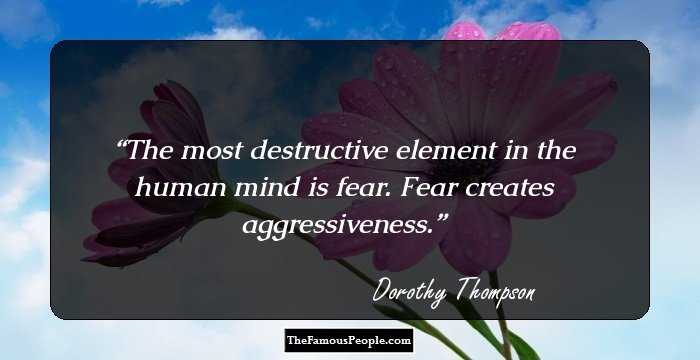 The most destructive element in the human mind is fear. Fear creates aggressiveness.