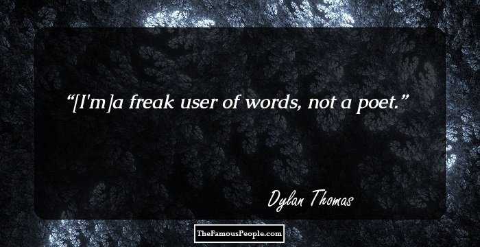 [I'm]a freak user of words, not a poet.