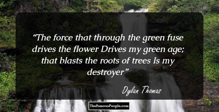 The force that through the green fuse drives the flower
Drives my green age; that blasts the roots of trees
Is my destroyer