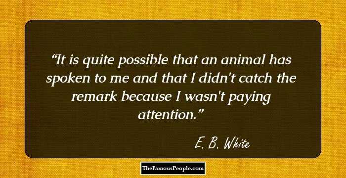 It is quite possible that an animal has spoken to me and that I didn't catch the remark because I wasn't paying attention.