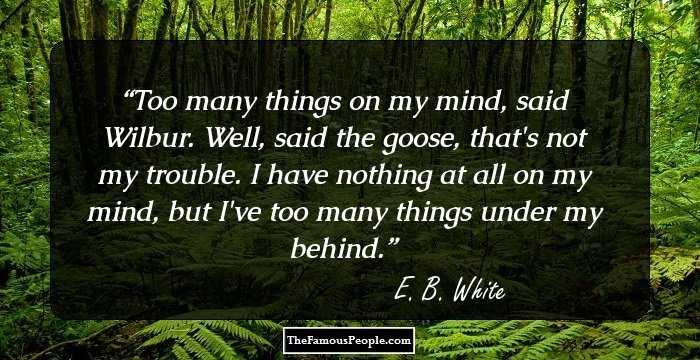 Too many things on my mind, said Wilbur.
Well, said the goose, that's not my trouble. I have nothing at all on my mind, but I've too many things under my behind.