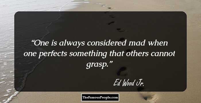One is always considered mad when one perfects something that others cannot grasp.