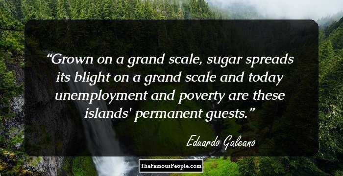 Grown on a grand scale, sugar spreads its blight on a grand scale and today unemployment and poverty are these islands' permanent guests.