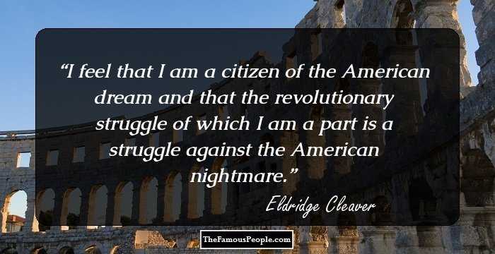 I feel that I am a citizen of the American dream and that the revolutionary struggle of which I am a part is a struggle against the American nightmare.