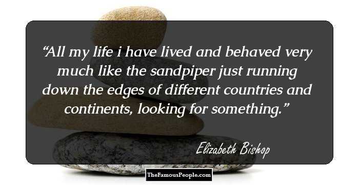 All my life i have lived and behaved very much like the sandpiper just running down the edges of different countries and continents, looking for something.