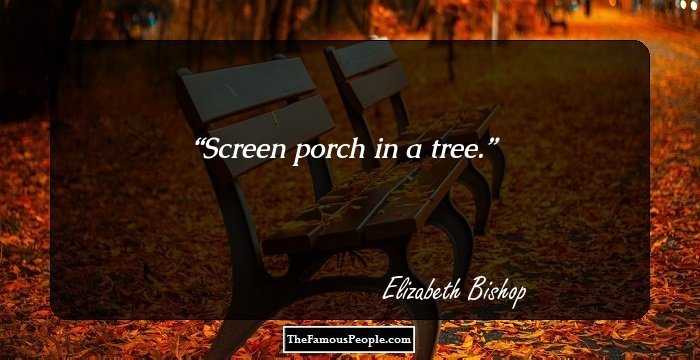 Screen porch in a tree.