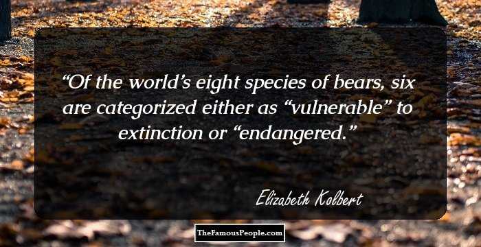 Of the world’s eight species of bears, six are categorized either as “vulnerable” to extinction or “endangered.