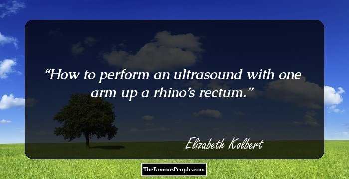 How to perform an ultrasound with one arm up a rhino’s rectum.
