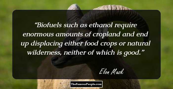 Biofuels such as ethanol require enormous amounts of cropland and end up displacing either food crops or natural wilderness, neither of which is good.