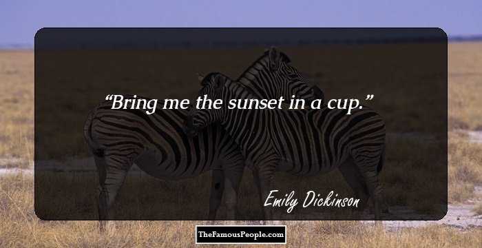 Bring me the sunset in a cup.
