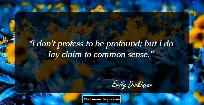 I don't profess to be profound; but I do lay claim to common sense.
