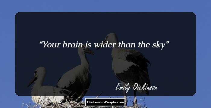 Your brain is wider than the sky