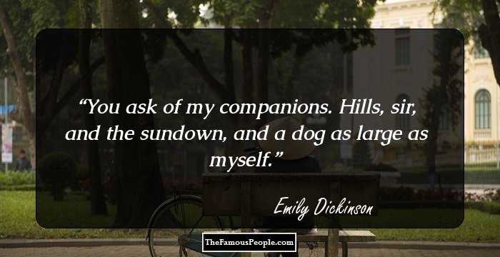 You ask of my companions. Hills, sir, and the sundown, and a dog as large as myself.