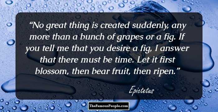 No great thing is created suddenly, any more than a bunch of grapes or a fig. If you tell me that you desire a fig, I answer that there must be time. Let it first blossom, then bear fruit, then ripen.