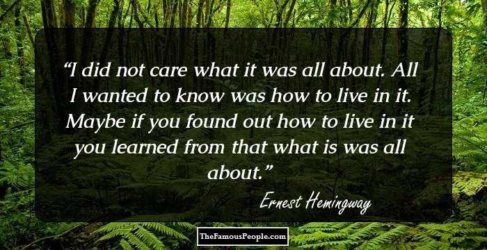 I did not care what it was all about. All I wanted to know was how to live in it. Maybe if you found out how to live in it you learned from that what is was all about.