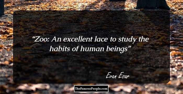 Zoo: An excellent lace to study the habits of human beings
