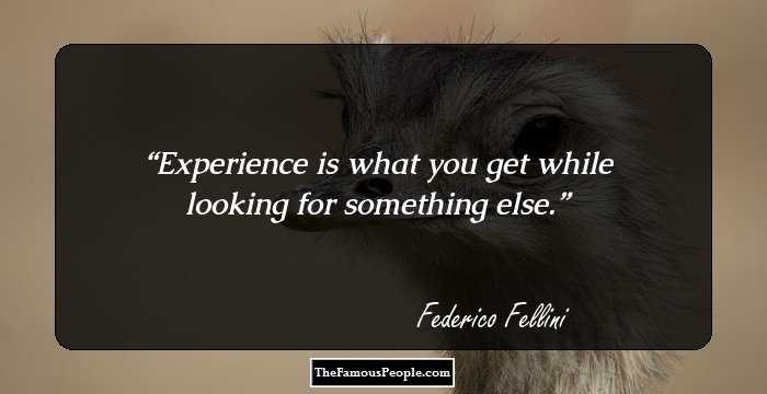 Experience is what you get while looking for something else.