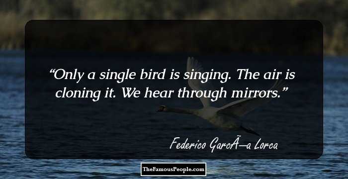 Only a single bird

is singing.

The air is cloning it.

We hear through mirrors.