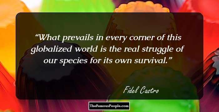 What prevails in every corner of this globalized world is the real struggle of our species for its own survival.
