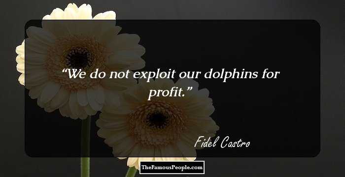 We do not exploit our dolphins for profit.