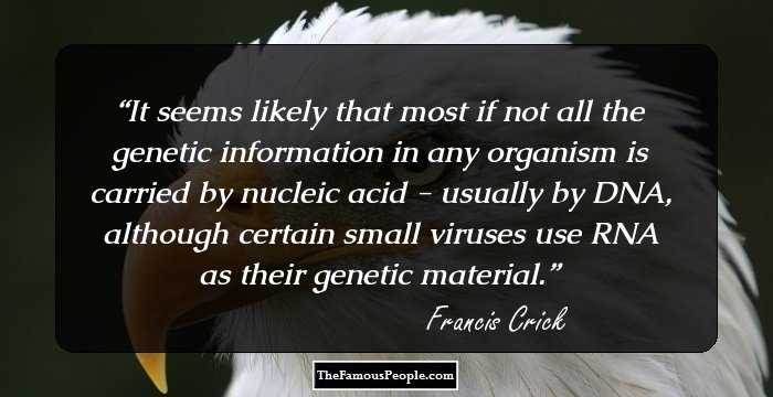 It seems likely that most if not all the genetic information in any organism is carried by nucleic acid - usually by DNA, although certain small viruses use RNA as their genetic material.