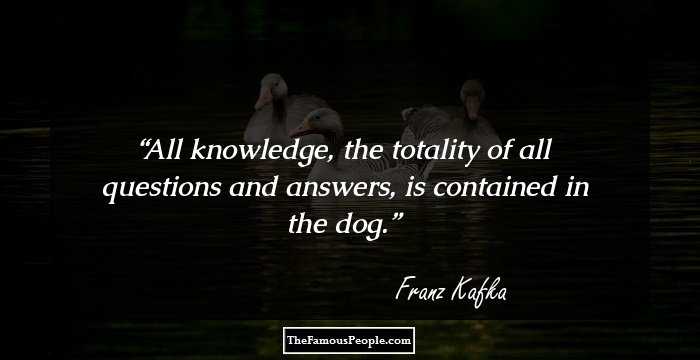 All knowledge, the totality of all questions and answers, is contained in the dog.