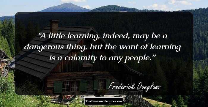 A little learning, indeed, may be a dangerous thing, but the want of learning is a calamity to any people.