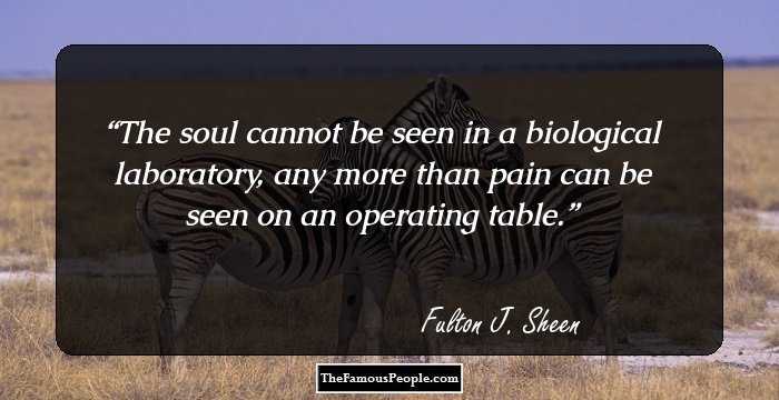 The soul cannot be seen in a biological laboratory, any more than pain can be seen on an operating table.