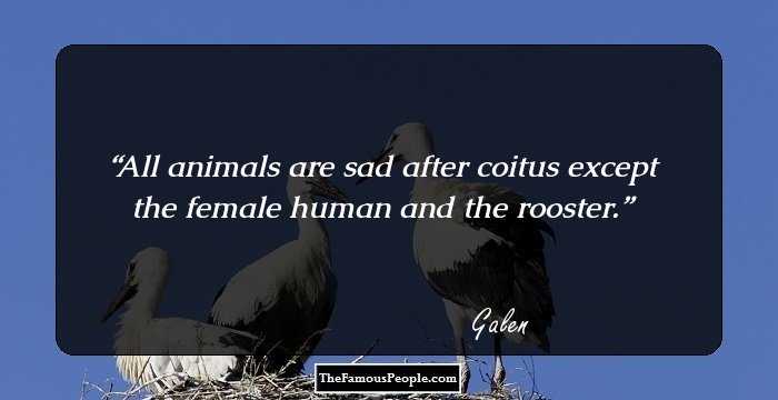 All animals are sad after coitus except the female human and the rooster.