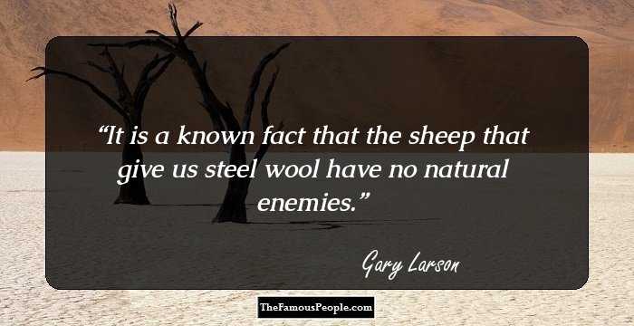 It is a known fact that the sheep that give us steel wool have no natural enemies.