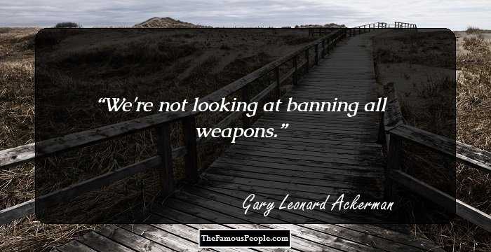 We're not looking at banning all weapons.